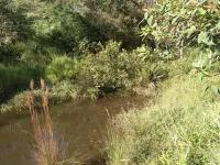 Vende-se lindo Sitio na Cidade de Carandaí - Foto 11