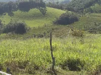 Vende-se lindo Sitio na Cidade de Carandaí - Foto 14