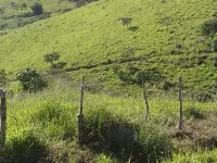 Vende-se lindo Sitio na Cidade de Carandaí - Foto 16