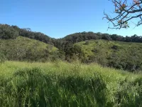 Vende-se lindo Sitio na Cidade de Carandaí - Foto 17