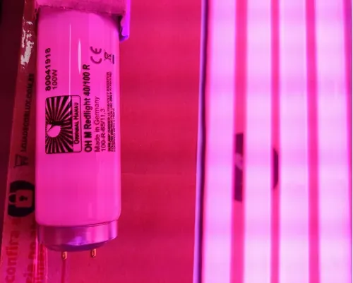 Lampada bronzeamento especiais de radiação ultravioleta UVA para aparelhos de exposição solar artificial cleo professional 100w/r Imagem