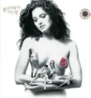 VINIL MOTHERS MILK - RED HOT CHILI PEPPERS - SEM ENCARTE (PRODUTO USADO - MUITO BOM)