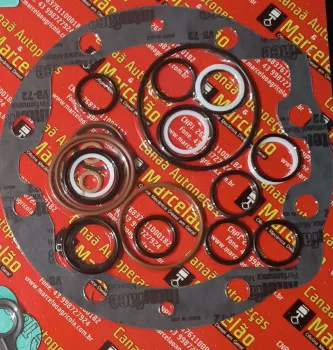 REPARO DA BOMBA HIDRO DE BAIXO DA CASE 