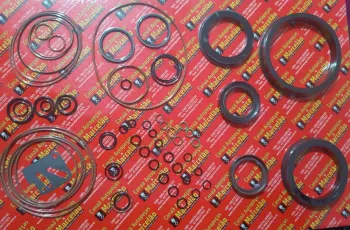 REPARO DA BOMBA HIDRO DA TC59 DE CIMA  90/100 