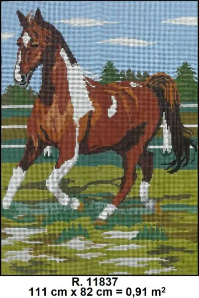 PRÉ-VENDA Tela 11837