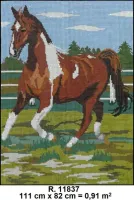 PRÉ-VENDA Tela 11837