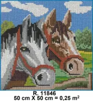 PRÉ-VENDA Tela 11846 - Foto 2