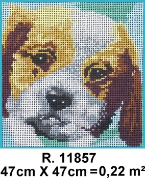 PRÉ-VENDA Tela 11857