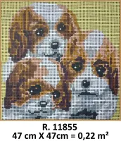 PRÉ-VENDA Tela 11855