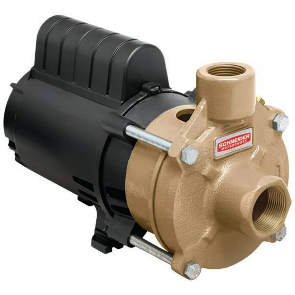 BOMBA CENTRÍFUGA MONOESTÁGIO SCHENEIDER BC-91 T 1CV BR EIXO DE INOX VT MONOFÁSICO 220V