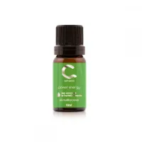 OLEO ESSENCIAL HORTELA COM PIMENTA ENERGY COMPLEX - 10ML