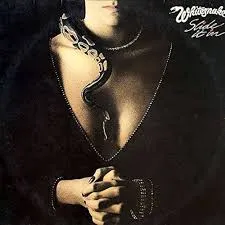 VINIL LP  WHITESNAKE - SLIDE IT IN (PRODUTO USADO - MUITO BOM)