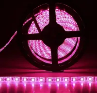 Fita LED 5050 ROSA 12v rolo 5 metros 12v (com silicone) - Foto 2