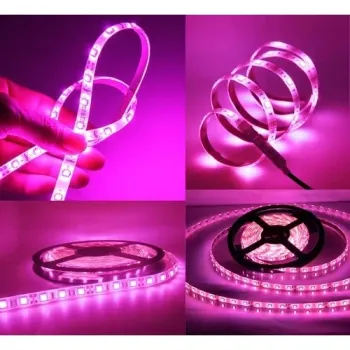 Fita LED 3528 ROSA 12v rolo 5 metros 12v (sem silicone)