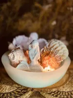 Fonte verde tifany com ostras