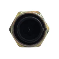 Cebolinha Interruptor Pressão Óleo GM Vectra Astra Zafira Prisma  OPA1-N001  - Foto 5