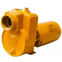   BOMBA JACUZZI AUTOESCORVANTE 15JM3-T 15,0 CV 220V TRIFASICA