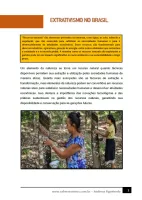 111 - Geografia - Extrativismo e Recursos Minerais - A Utilização dos Recursos Naturais - 7º ano - PDF com 8 páginas - Foto 2