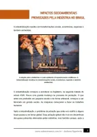118 - Geografia - Industrialização Brasileira - Problemas Socioambientais - 7º ano - PDF com 8 páginas - Foto 2