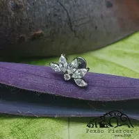 Labret em TITÂNIO MEIA FLOR  com 6 Pedras  1049 - Foto 2