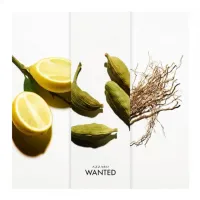 Perfume Wanted By Azzaro–Masculino–Eau de Toilette–50ml - Foto 4