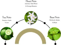 Perfume Classic Gold By Jaguar–Masculino- Eau de Toilette–100ml - Foto 5