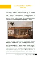 047 - História - A Colonização da América Portuguesa - Economia e Sociedade do Açucar - 7º ano - PDF com 10 páginas - Foto 2