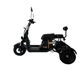 TRICICLO ELETRICO 1000W COM SUSPENÇÃO BAT DE LITHIUM 2026
