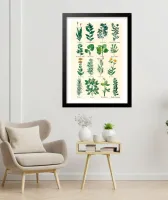 Quadro Plantas Medicinais - Frete Grátis — imagem 2