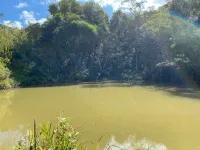 Vende-se  fazendinha em Ouro Branco. - Foto 2