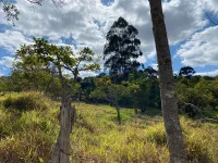 Vende-se  fazendinha em Ouro Branco. - Foto 3