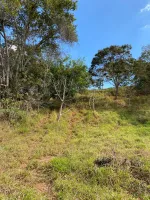 Vende-se  fazendinha em Ouro Branco. - Foto 5