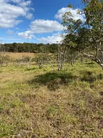 Vende-se  fazendinha em Ouro Branco. - Foto 8
