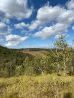Vende-se  fazendinha em Ouro Branco. - Foto 9