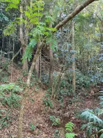 Vende-se  fazendinha em Ouro Branco. - Foto 10