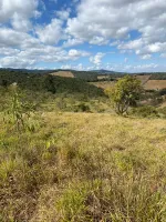 Vende-se  fazendinha em Ouro Branco. - Foto 11