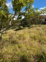 Vende-se  fazendinha em Ouro Branco. - Foto 12