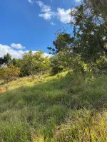 Vende-se  fazendinha em Ouro Branco. - Foto 14