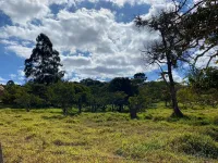 Vende-se  fazendinha em Ouro Branco. - Foto 17