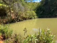 Vende-se  fazendinha em Ouro Branco. - Foto 18