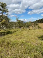 Vende-se  fazendinha em Ouro Branco. - Foto 19