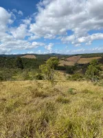 Vende-se  fazendinha em Ouro Branco. - Foto 20