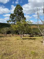 Vende-se  fazendinha em Ouro Branco. - Foto 23