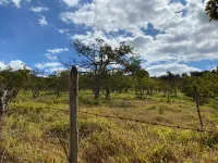 Vende-se  fazendinha em Ouro Branco. - Foto 25