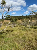 Vende-se  fazendinha em Ouro Branco. - Foto 26