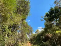 Vende-se  fazendinha em Ouro Branco. - Foto 27