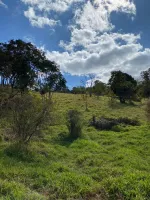 Vende-se  fazendinha em Ouro Branco. - Foto 29