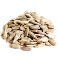 Semente de Girassol Crua sem Sal - Foto 2