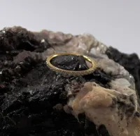 Argola Slim CONCH em TITÂNIO PVD GOLD CRAVEJADA ZIRCONIA Clicker 1.2mm TIT23 - Foto 2