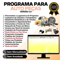 Programa Para Auto Peças Com Estoque E Financeiro V3.0 Plus — imagem principal